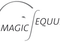 Magicequus