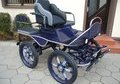 Mas de 150 modelos de carruajes Mas de 150 modelos de carruajes