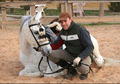 Vendo Caballo Dos Sangres