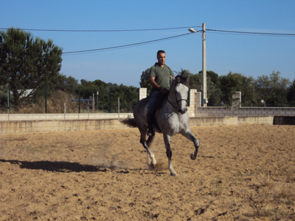 ARTILLERO
