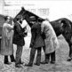 Jim, el caballo que salv� de la difteria a miles de ni�os