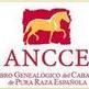 100 a�os del Libro Geneal�gico del Pura Raza Espa�ola