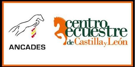 Ciclo Cl�sico de Caballos J�venes de Salto Ancades