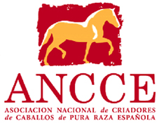 VII Jornadas Ecuestres “El caballo de Pura Raza Española y su aplicaciones en el entorno económico actual” VII Jornadas Ecuestres “El caballo de Pura Raza Española y su aplicaciones en el entorno económico actual”