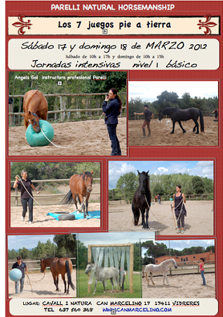 Curso B�sico Parelli Natural Horsemanship