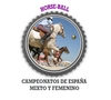 Campeonato Nacional de Horseball Campeonato Nacional de Horseball