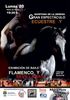 Curso de Introducci�n al Masaje, Digitopuntura y Quiropraxia para Caballos