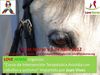Curso de Intervenci�n Terap�utica asistida con caballos y autismo