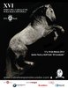 XVI Feria del Caballo de Pura Raza Espa�ola de Ecuador