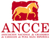 VII Jornadas Ecuestres �El caballo de Pura Raza Espa�ola y su aplicaciones en el entorno econ�mico actual�