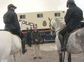 Efectivos de la Policia a caballo refuerzan los campos de �cija