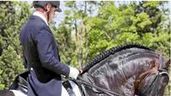 Resultados de Doma 3* y Paraecuestre en Oliva