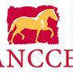 ANCCE hace p�blico el calendario de concursos para 2011