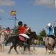 Exhibici�n de Horseball en Valladolid