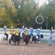 Soto Ocio acogi� la exhibici�n de Horseball con Ponis Shetland