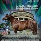 Primer Festival Internacional del Caballo en Zapopan, M�xico