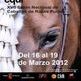 III Juegos y Manejos de Monta Espa�ola en Equimur 2012