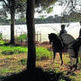 Guardia Civil a caballo en los campos freseros de Huelva