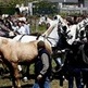 Pocas ventas en la Feria del Caballo de San Telmo en Tui