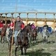 Celebrada la I Trashumancia en Ejea de los Caballeros (Zaragoza)
