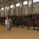 El Escuadr�n de Caballer�a de la Guardia Civil inaugura nuevo pabell�n
