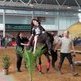 �xito de p�blico en la I Feria del Caballo de Castuera