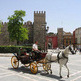 Los pa�ales de los caballos sevillanos podr�an verse en junio