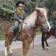 La historia de Charlie, caballo de los carabineros de Colombia 
