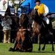 �xito en el espect�culo ecuestre de Villagarc�a de Arosa