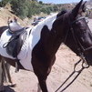 Hechicera