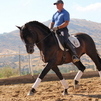 SEÑUELO II SEÑUELO II