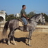 ARTILLERO