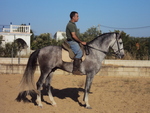 ARTILLERO