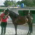 estrella