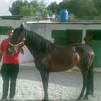 estrella