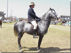 Boer