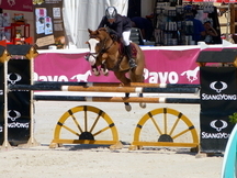 PONY D CAMPEON DE SALTO