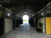 Yeguada EL Chaparral (Chiclana, Cadiz)