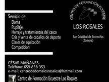 Caballos Doma Clásica y Salto