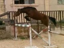 POtra CDE salto.