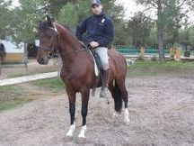 jose reina carmona