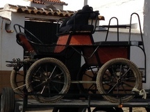 VENTA DE TRONCO