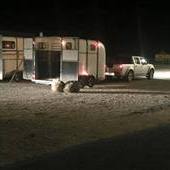 Transportes de caballos, nacional e internacional