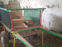 CARRO ANTIGUO