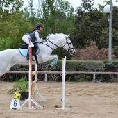 Vendo Poni D de Competición - Salto