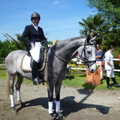 VALDEZAN caballo de doma clasica