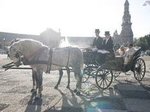 ALQUILER DE COCHES DE CABALLOS PARA BODAS EN SEVILLA.