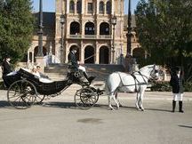 COCHES DE CABALLOS PARA FERIA ABRIL SEVILLA