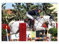 YEGUA CAMPEONA EN 1.20 Y 1.30