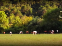 Masia en alquiler, prados para caballos